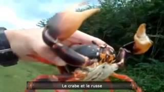 Смешные новые подборки ПРИКОЛОВ и неудач декабрь 2013