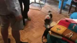 Il primo giorno di Rudy!