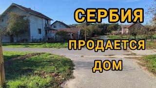 #vlog Сербия // Продается дом // Кривая // 48 000 €