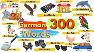 Learn Over 300 Essential German Words for Daily Life with Pronunciation and Translation