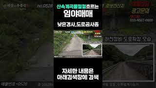 산속 계곡물 철철흐르는 ~임야매매 ,도로공사중,일부 계획관리지역 #shorts 세상사는 부동산