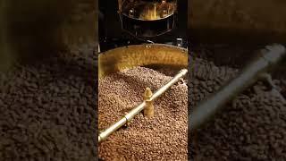 SCA(스페셜티커피협회) 커피 바리스타 로스팅 자격증 수업 교육 과정 | SCA Coffee Roasting by CoffeeBuy