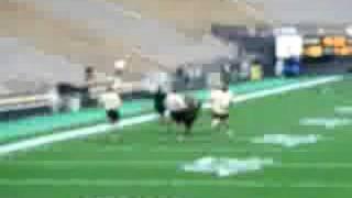 Ralphie V  CU running hard!