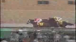 Sunday Silence－Preakness Stakes