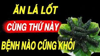 BÁC SĨ MÁCH BẠN: ĂN RAU LÁ LỐT Cùng THỨ NÀY MÁU THÔNG LÊN NÃO, NGỦ SAY ĐẾN SÁNG, SẠCH GAN KHỎE THẬN