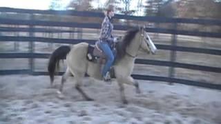 Gunsmoke's Video By Horse Of My Dreams