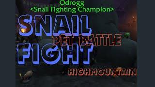 SNAIL FIGHT - How to Level Pets and Characters at the Same Time!