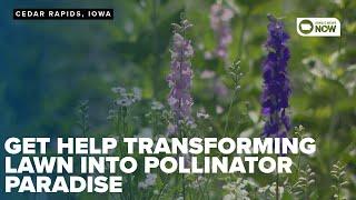 Local group helps homes transform lawns into a paradise for pollinators