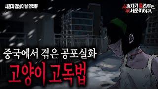 【무서운이야기 실화】 진짜..미쳤네요 레전드 중국에서 겪은 고양이 고독법..실화ㅣ김냥이님 사연ㅣ돌비공포라디오ㅣ괴담ㅣ미스테리 인터뷰ㅣ시청자 사연ㅣ공포툰ㅣ오싹툰