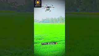 Pesticide Spraying from drone #farming #agriculture #trending #sprayingdrone #vcsir #viral #shorts
