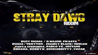 Stray Dawg Riddim {Mix} Troyton Music / Busy Signal, IWaata, Charly Black, I-Octane, Bugle, Dreama.