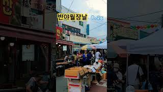 활력.충전소#shorts#힐링