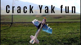 RC Factory mini Crack Yak 55 - Shocky Fun in Backyard - 3D Plane Airplane Crash