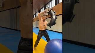 ️Functional training for judoka: explosive arm power and coordination with a Bulgarian bag #judo