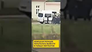Немецкая полиция попыталась вывезти в Польшу мигрантов #shorts #short #новости