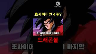 초사이어인4 란? (드래곤볼)