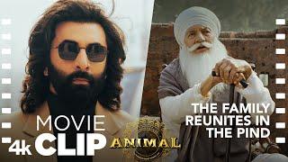 ANIMAL Movie Scene: The Family Reunites in the Pind | Ranbir K, Sandeep V, Bhushan K