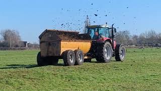 MARSTON SP10 MUCK SPREADER WORKING VIDEO