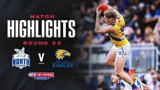 North Melbourne v West Coast Eagles Highlights | Round 22, 2024 | AFL