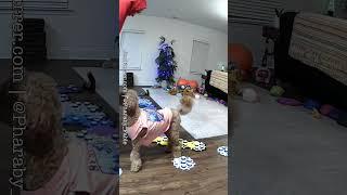  this was a fun conversation with my talking dog #fluentpet #aic #talkingdog
