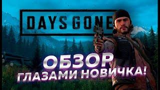 Days Gone - первый взгляд новичка