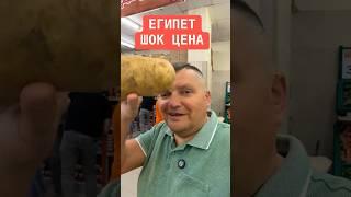 ЕГИПЕТ - ШОК ЦЕНА! Египет 2025. Хургада 2025. #египет_хургада #египет