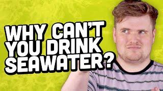 Why Can't You Drink Seawater?