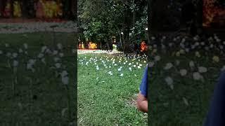 Cimory Riverside - Festival of Light || Adara's Story
