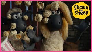  Shaun The Sheep YouTube Special  Two's Company Brand New Episodes, Cartoons for kids