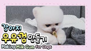 강아지 치석제거에 좋은 간식 우유껌 만드는 방법