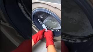 Automatic washing machine cleaning brush at home