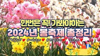 무조건 꼭 가세요!!ㅣ3월에 놓치면 후회하는 봄꽃 여행지 추천 ㅣ2024 봄꽃 축제정보 총정리ㅣ개화시기 만개시기ㅣ매화 벚꽃 산수유 수선화 튤립 축제 일정