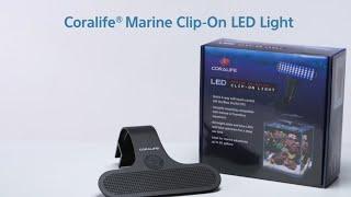 Coralife Marine Clip-On Light