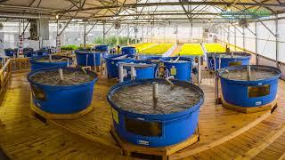 ZDEP Aquaponics from Nelson and Pade