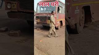 #lalpari #youtubeshorts #shortsvideo #shorts