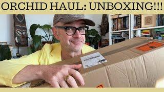 Orchid haul: unboxing a new delivery of orchids!!