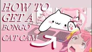 How to get and set up Bongo Cat cam!~ 2020 (OUTDATED)