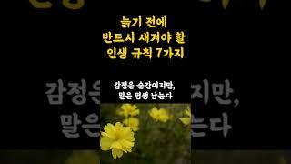 늙기전에 마음에 새겨야 할 인생 규칙 7가지 #명언 #긍정적마인드 #지혜