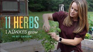 11 Herbs I ALWAYS Grow in My Garden