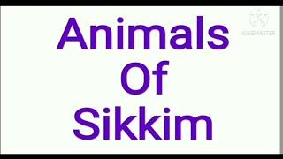 Animals of Sikkim / sikkim famous animals / famous animals of Sikkim / sikkim animals / sikkim proje