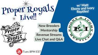 New Breeders, Revenue Streams, Mentorship: Proper Royals Live!  W/ Ebony and Ivory Reptiles