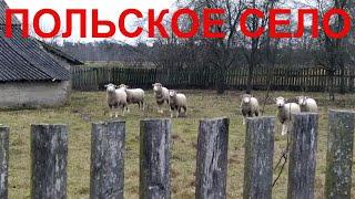 Как Выглядит Польская деревня Жизнь в Польском селе