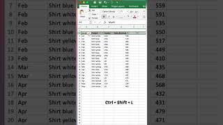 Keyboard Shortcut to Apply Filter. #excel #microsoftexcel #exceltips #exceltutorial #msexcel