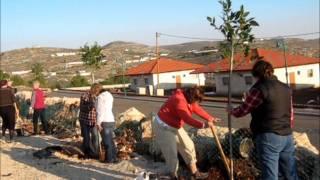 Itamar Planting Trees.wmv