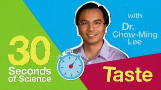 30 Seconds of Science: What is Taste? | Science at Home with Bayer