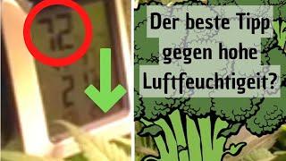 Der fehlende Tipp: Luftfeuchtigkeit in der Growbox senken Teil 2