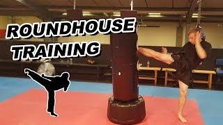 Roundhouse Kick Drill on the Free Standing Heavy Bag