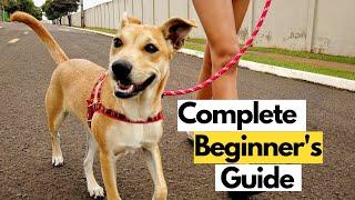 Fix Leash Pulling: Step-by-Step Beginner's Guide to Leash Training