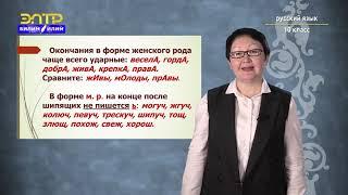 10-класс | Орус тили | Образование и употребление кратких прилагательных