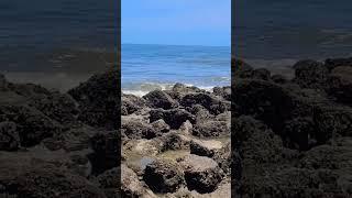 каменный берег